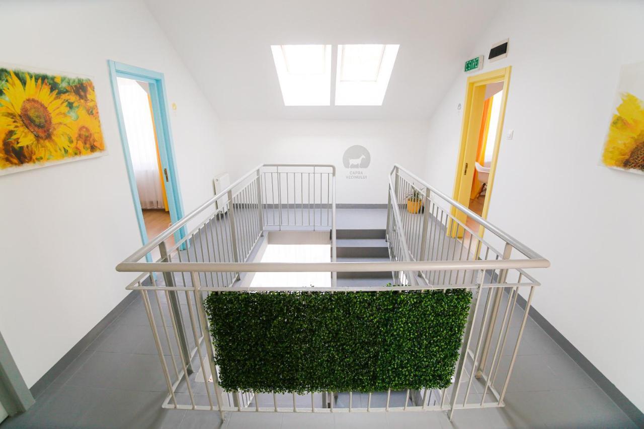 Capra Vecinului Bed & Breakfast Targu Mures Exterior photo